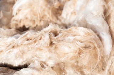 old loft insulation close up